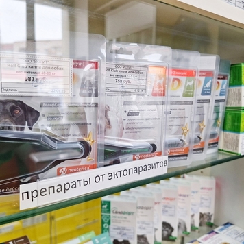 Клещи 🐞, этот кошмар всех владельцев животных в...