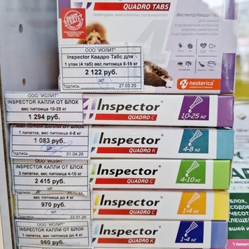 Клещи 🐞, этот кошмар всех владельцев животных в...