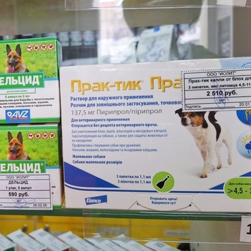 Клещи 🐞, этот кошмар всех владельцев животных в...