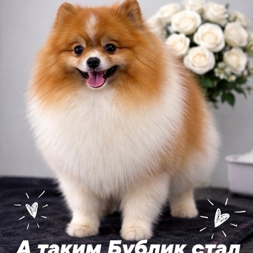 Любите ли вы своих клиентов так, как любит своих...