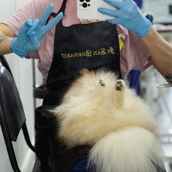 Любите ли вы своих клиентов так, как любит своих...