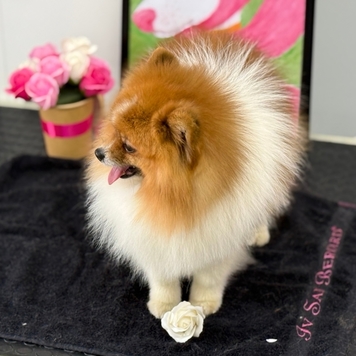 Любите ли вы своих клиентов так, как любит своих...