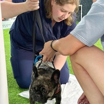 БАРС поздравляет