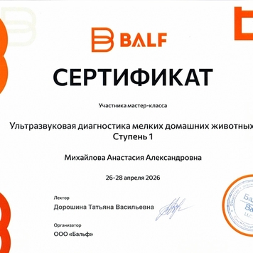Ультразвуковая диагностика в БАРСе