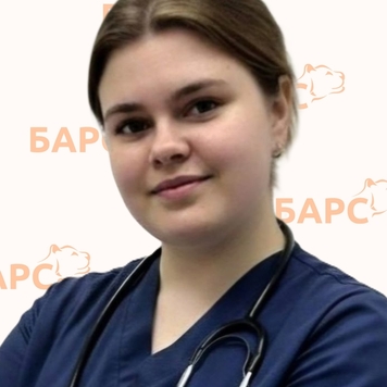 Ультразвуковая диагностика в БАРСе