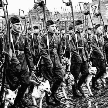 С Днем победы, друзья