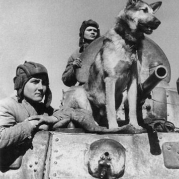 С Днем победы, друзья