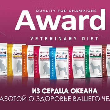 Встречайте новинку!