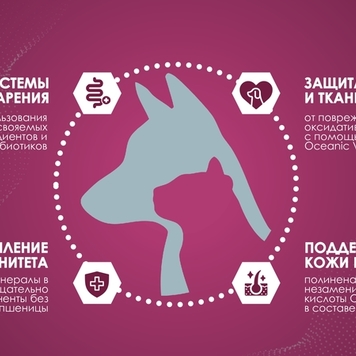 Встречайте новинку!