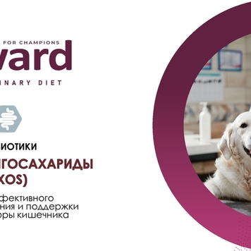 Встречайте новинку!