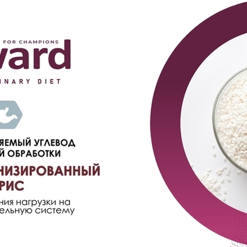 Встречайте новинку!