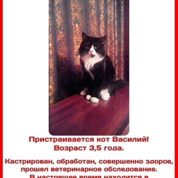БАРС соединяется сердца