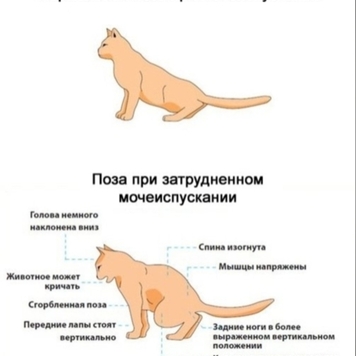 Наши пациенты: Мэри
Обеспокоенная состоянием здоровья...