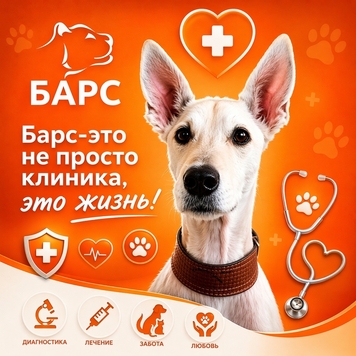 Вакансия в БАРСе!