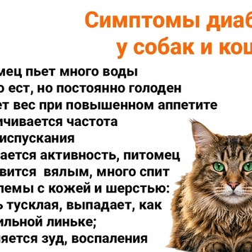 Все, что надо знать о сахарном диабете собак и кошек,...