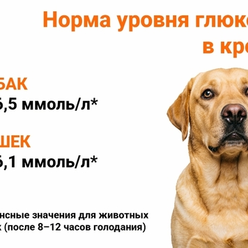 Все, что надо знать о сахарном диабете собак и кошек,...
