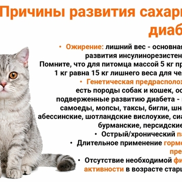 Все, что надо знать о сахарном диабете собак и кошек,...