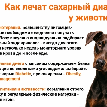 Все, что надо знать о сахарном диабете собак и кошек,...