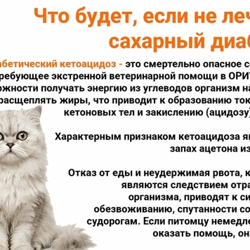 Все, что надо знать о сахарном диабете собак и кошек,...