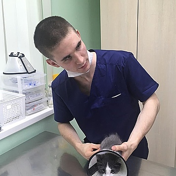 Сегодня, С Днем Рождения, мы поздравляем нашего Никиту...