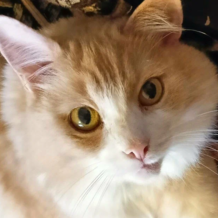 Сакирин Николай Валентинович