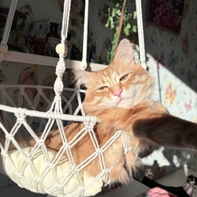 Дарья Зименкова