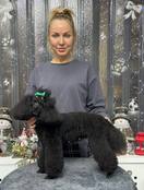 Крутикова Алиса Андреевна